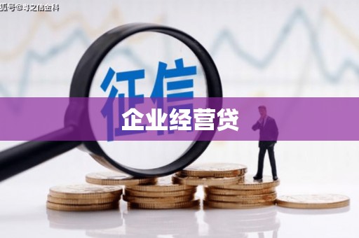 南头企业经营贷
