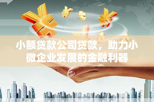 南头小额贷款公司贷款，助力小微企业发展的金融利器