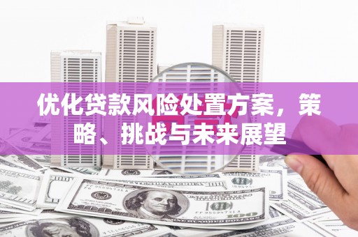南头优化贷款风险处置方案，策略、挑战与未来展望