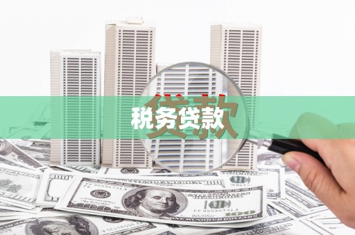 南头税务贷款