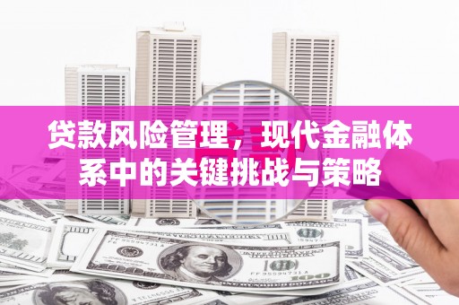 南头贷款风险管理，现代金融体系中的关键挑战与策略