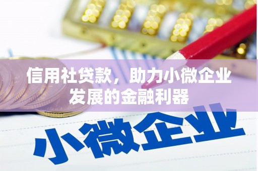 南头信用社贷款，助力小微企业发展的金融利器