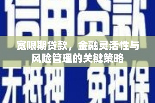 南头宽限期贷款，金融灵活性与风险管理的关键策略