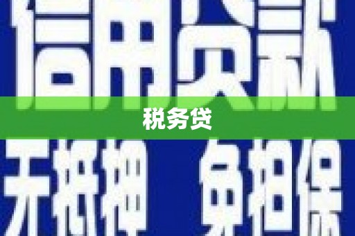 南头税务贷