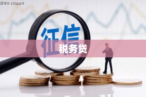 南头税务贷