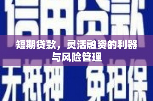 南头短期贷款，灵活融资的利器与风险管理