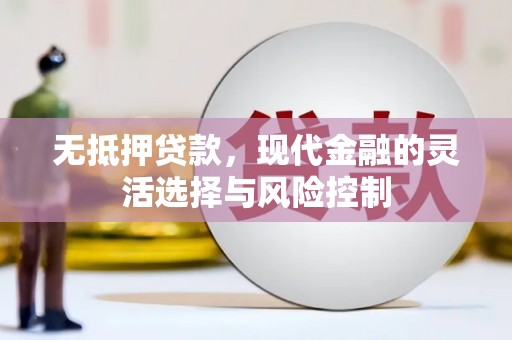 南头无抵押贷款，现代金融的灵活选择与风险控制