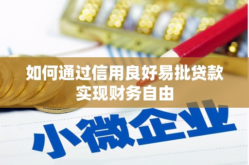南头如何通过信用良好易批贷款实现财务自由