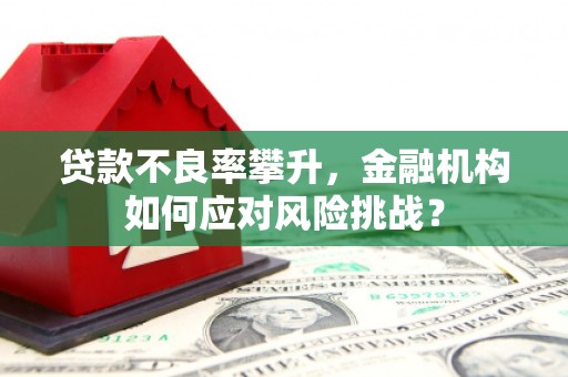 南头贷款不良率攀升，金融机构如何应对风险挑战？