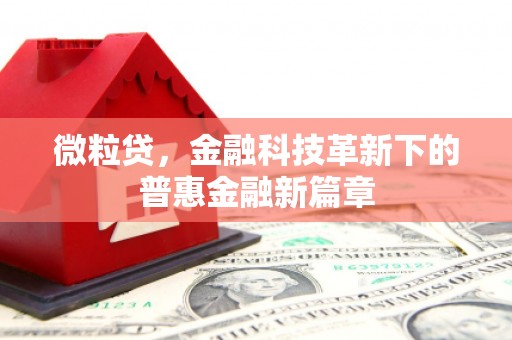 南头微粒贷，金融科技革新下的普惠金融新篇章