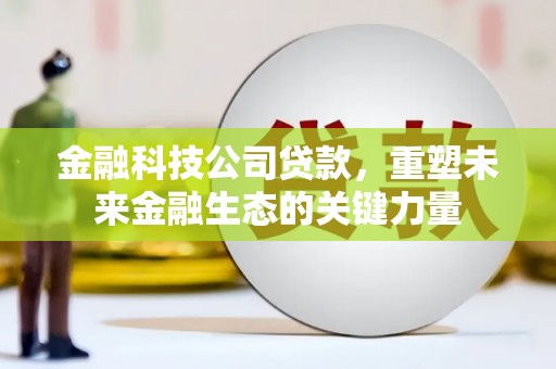 南头金融科技公司贷款，重塑未来金融生态的关键力量