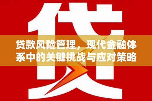 南头贷款风险管理，现代金融体系中的关键挑战与应对策略