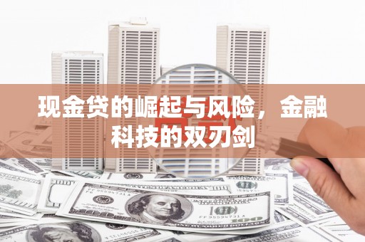 南头现金贷的崛起与风险，金融科技的双刃剑
