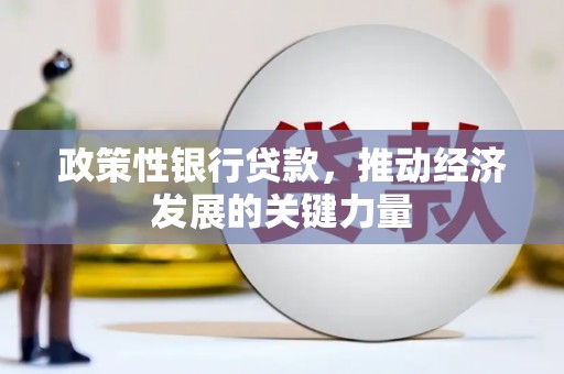 南头政策性银行贷款，推动经济发展的关键力量