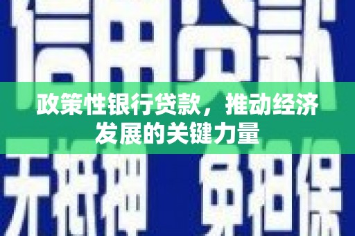 南头政策性银行贷款，推动经济发展的关键力量