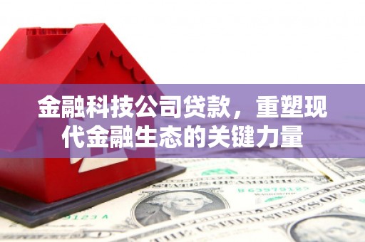 南头金融科技公司贷款，重塑现代金融生态的关键力量