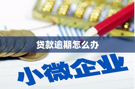 南头贷款逾期怎么办