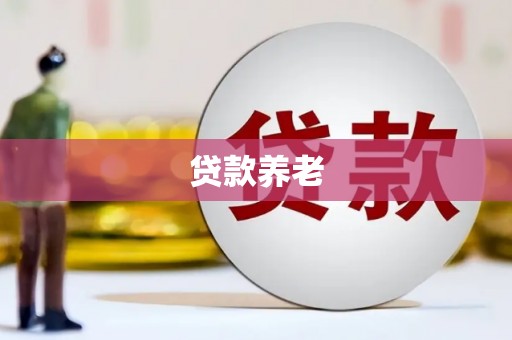 南头贷款养老