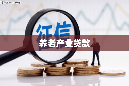 南头养老产业贷款