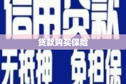 南头贷款购买保险