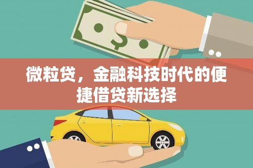 南头微粒贷，金融科技时代的便捷借贷新选择
