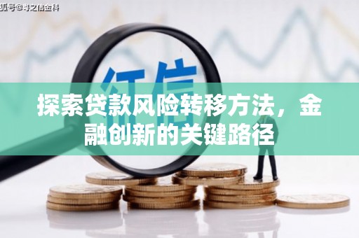 南头探索贷款风险转移方法，金融创新的关键路径