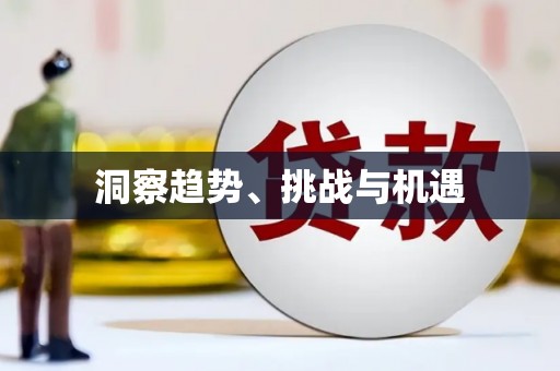 南头洞察趋势、挑战与机遇